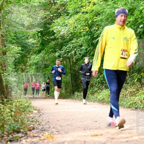 11.10.2026 - Bramfelder Halbmarathon 2026 Dr. Thomas Lammeyer http://msf.ph/oto/10830583 11.10.2026 11:13:41 Laufen 159, 20, 434 meine-sportfotos.de