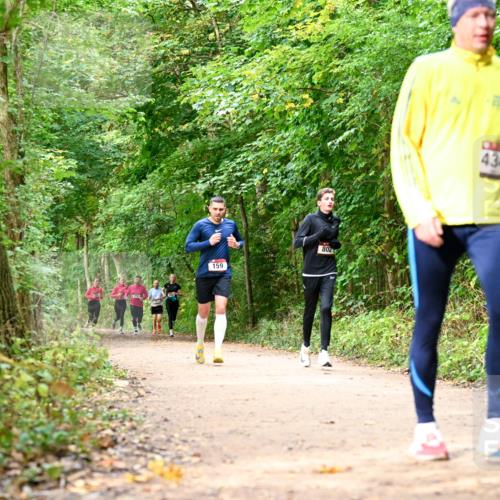 11.10.2026 - Bramfelder Halbmarathon 2026 Dr. Thomas Lammeyer http://msf.ph/oto/10830588 11.10.2026 11:13:42 Laufen 159, 802, 434 meine-sportfotos.de