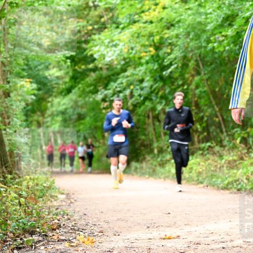 11.10.2026 - Bramfelder Halbmarathon 2026 Dr. Thomas Lammeyer http://msf.ph/oto/10830594 11.10.2026 11:13:42 Laufen 36, 434 meine-sportfotos.de