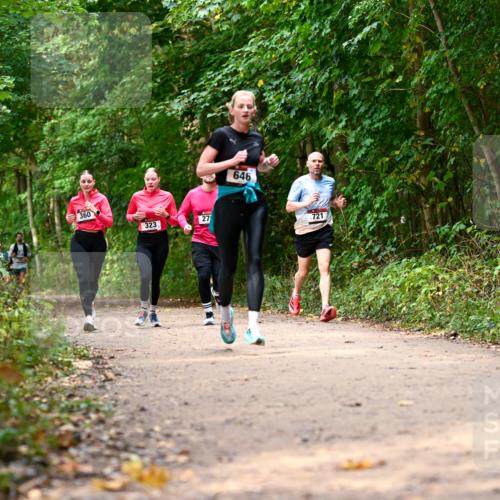11.10.2026 - Bramfelder Halbmarathon 2026 Dr. Thomas Lammeyer http://msf.ph/oto/10830606 11.10.2026 11:13:49 Laufen 360, 323, 27, 646, 721 meine-sportfotos.de