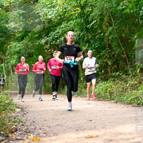 11.10.2026 - Bramfelder Halbmarathon 2026 Dr. Thomas Lammeyer http://msf.ph/oto/10830613 11.10.2026 11:13:50 Laufen 360, 23, 270, 646, 721 meine-sportfotos.de