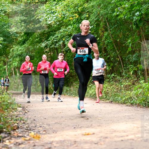 11.10.2026 - Bramfelder Halbmarathon 2026 Dr. Thomas Lammeyer http://msf.ph/oto/10830621 11.10.2026 11:13:50 Laufen 00, 646, 323, 270, 721 meine-sportfotos.de