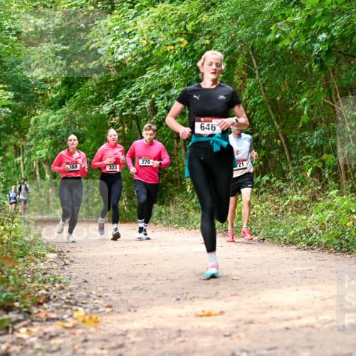 11.10.2026 - Bramfelder Halbmarathon 2026 Dr. Thomas Lammeyer http://msf.ph/oto/10830623 11.10.2026 11:13:50 Laufen 360, 323, 270, 646, 721 meine-sportfotos.de