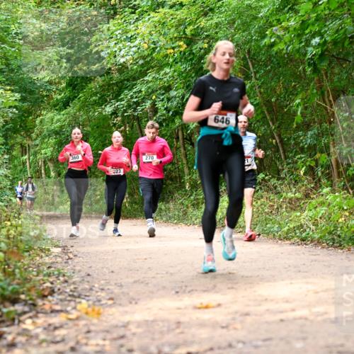 11.10.2026 - Bramfelder Halbmarathon 2026 Dr. Thomas Lammeyer http://msf.ph/oto/10830625 11.10.2026 11:13:50 Laufen 360, 23, 270, 646 meine-sportfotos.de