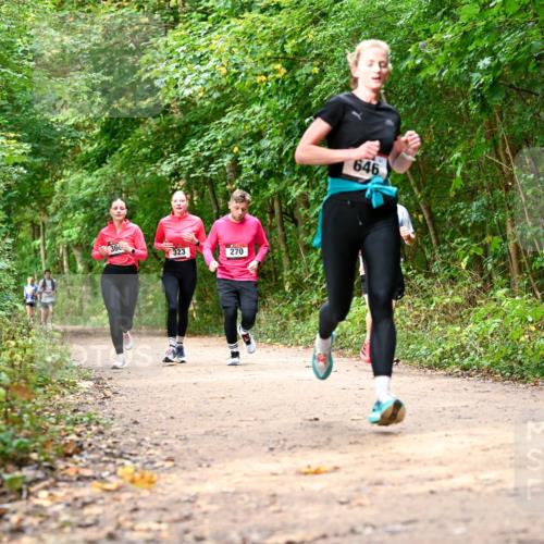 11.10.2026 - Bramfelder Halbmarathon 2026 Dr. Thomas Lammeyer http://msf.ph/oto/10830627 11.10.2026 11:13:50 Laufen 366, 323, 270, 646 meine-sportfotos.de