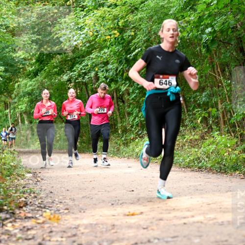 11.10.2026 - Bramfelder Halbmarathon 2026 Dr. Thomas Lammeyer http://msf.ph/oto/10830629 11.10.2026 11:13:51 Laufen 60, 323, 270, 646 meine-sportfotos.de