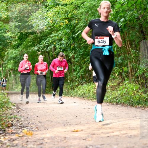 11.10.2026 - Bramfelder Halbmarathon 2026 Dr. Thomas Lammeyer http://msf.ph/oto/10830631 11.10.2026 11:13:51 Laufen 00, 323, 270, 646 meine-sportfotos.de