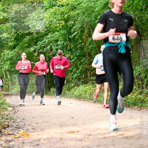 11.10.2026 - Bramfelder Halbmarathon 2026 Dr. Thomas Lammeyer http://msf.ph/oto/10830633 11.10.2026 11:13:51 Laufen 360, 270, 646 meine-sportfotos.de