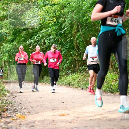 11.10.2026 - Bramfelder Halbmarathon 2026 Dr. Thomas Lammeyer http://msf.ph/oto/10830635 11.10.2026 11:13:51 Laufen 360, 323, 270, 721, 646 meine-sportfotos.de