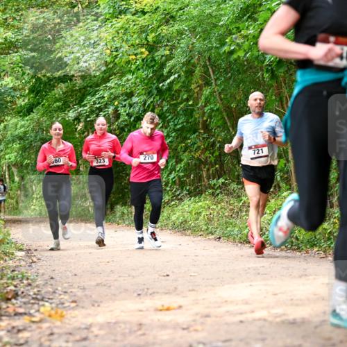 11.10.2026 - Bramfelder Halbmarathon 2026 Dr. Thomas Lammeyer http://msf.ph/oto/10830637 11.10.2026 11:13:51 Laufen 360, 323, 270, 721, 46 meine-sportfotos.de