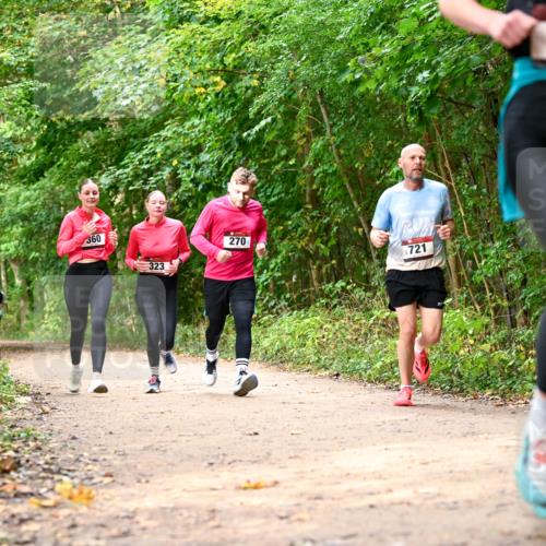 11.10.2026 - Bramfelder Halbmarathon 2026 Dr. Thomas Lammeyer http://msf.ph/oto/10830638 11.10.2026 11:13:51 Laufen 360, 323, 270, 721, 646 meine-sportfotos.de
