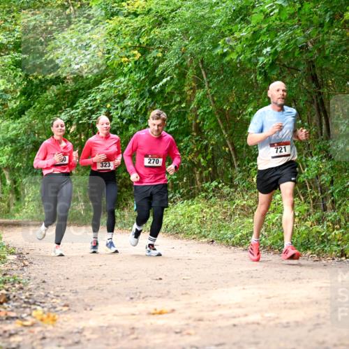 11.10.2026 - Bramfelder Halbmarathon 2026 Dr. Thomas Lammeyer http://msf.ph/oto/10830640 11.10.2026 11:13:52 Laufen 50, 721, 323, 270 meine-sportfotos.de