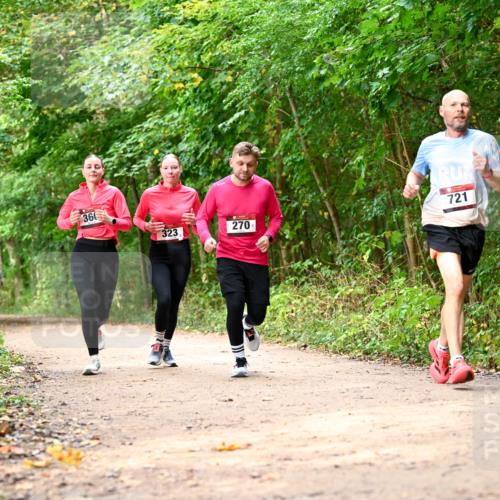 11.10.2026 - Bramfelder Halbmarathon 2026 Dr. Thomas Lammeyer http://msf.ph/oto/10830644 11.10.2026 11:13:52 Laufen 366, 323, 270, 721 meine-sportfotos.de