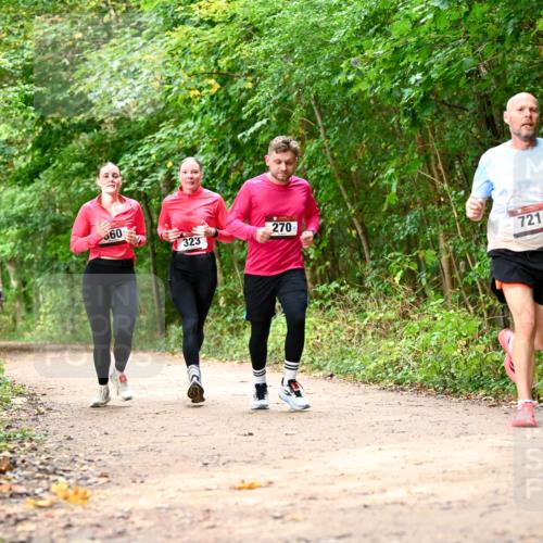 11.10.2026 - Bramfelder Halbmarathon 2026 Dr. Thomas Lammeyer http://msf.ph/oto/10830646 11.10.2026 11:13:52 Laufen 560, 323, 270, 721 meine-sportfotos.de
