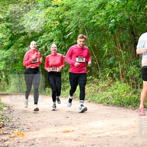 11.10.2026 - Bramfelder Halbmarathon 2026 Dr. Thomas Lammeyer http://msf.ph/oto/10830648 11.10.2026 11:13:52 Laufen 360, 323, 270, 721 meine-sportfotos.de