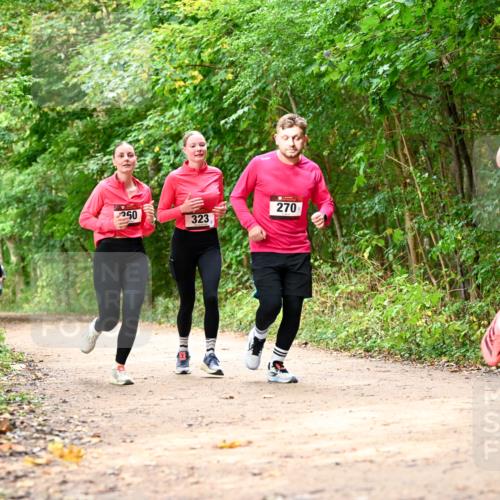 11.10.2026 - Bramfelder Halbmarathon 2026 Dr. Thomas Lammeyer http://msf.ph/oto/10830650 11.10.2026 11:13:52 Laufen 250, 323, 270, 721 meine-sportfotos.de