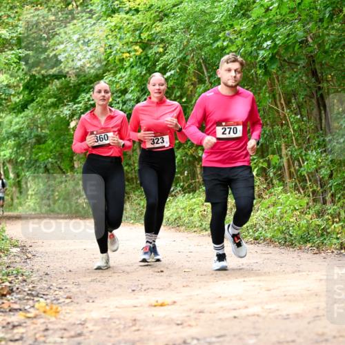 11.10.2026 - Bramfelder Halbmarathon 2026 Dr. Thomas Lammeyer http://msf.ph/oto/10830653 11.10.2026 11:13:53 Laufen 360, 323, 270 meine-sportfotos.de