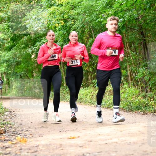 11.10.2026 - Bramfelder Halbmarathon 2026 Dr. Thomas Lammeyer http://msf.ph/oto/10830655 11.10.2026 11:13:53 Laufen 360, 323, 70 meine-sportfotos.de