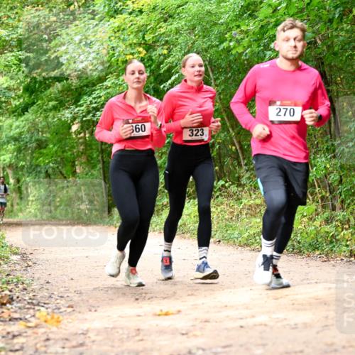 11.10.2026 - Bramfelder Halbmarathon 2026 Dr. Thomas Lammeyer http://msf.ph/oto/10830659 11.10.2026 11:13:53 Laufen 360, 323, 270 meine-sportfotos.de