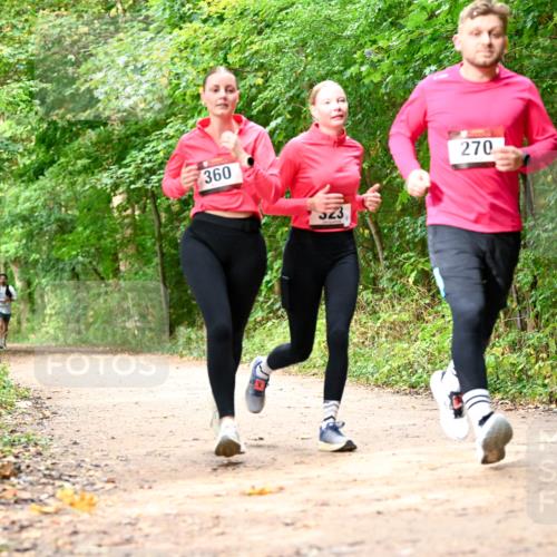 11.10.2026 - Bramfelder Halbmarathon 2026 Dr. Thomas Lammeyer http://msf.ph/oto/10830661 11.10.2026 11:13:53 Laufen 360, 325, 270 meine-sportfotos.de