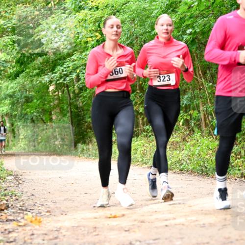 11.10.2026 - Bramfelder Halbmarathon 2026 Dr. Thomas Lammeyer http://msf.ph/oto/10830665 11.10.2026 11:13:53 Laufen 360, 323, 0 meine-sportfotos.de