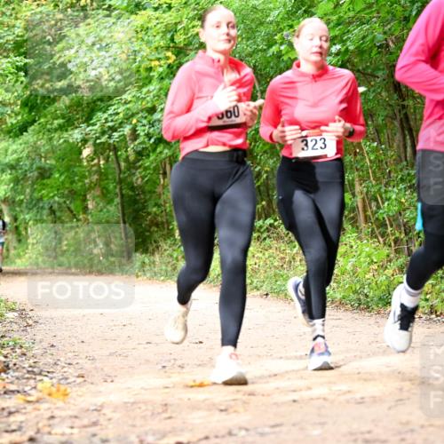 11.10.2026 - Bramfelder Halbmarathon 2026 Dr. Thomas Lammeyer http://msf.ph/oto/10830667 11.10.2026 11:13:54 Laufen 60, 323, 270 meine-sportfotos.de