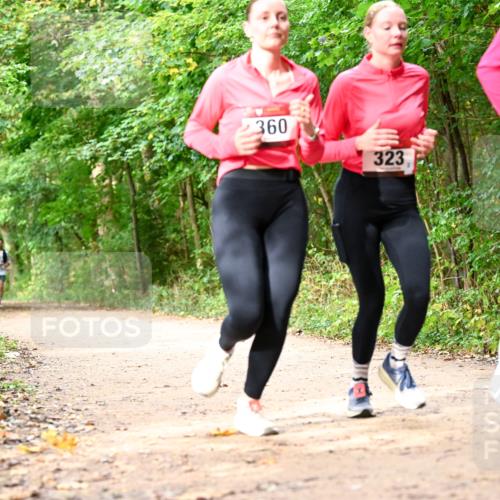 11.10.2026 - Bramfelder Halbmarathon 2026 Dr. Thomas Lammeyer http://msf.ph/oto/10830668 11.10.2026 11:13:54 Laufen 360, 323, 270 meine-sportfotos.de