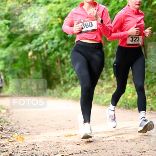 11.10.2026 - Bramfelder Halbmarathon 2026 Dr. Thomas Lammeyer http://msf.ph/oto/10830670 11.10.2026 11:13:54 Laufen 360, 323 meine-sportfotos.de