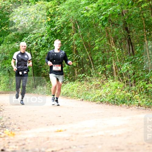 11.10.2026 - Bramfelder Halbmarathon 2026 Dr. Thomas Lammeyer http://msf.ph/oto/10830701 11.10.2026 11:14:09 Laufen 75 meine-sportfotos.de