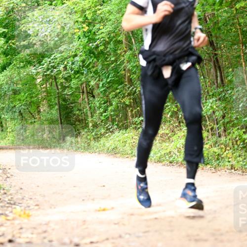 11.10.2026 - Bramfelder Halbmarathon 2026 Dr. Thomas Lammeyer http://msf.ph/oto/10830731 11.10.2026 11:14:12 Laufen  meine-sportfotos.de