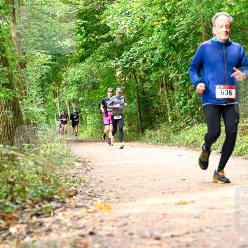 11.10.2026 - Bramfelder Halbmarathon 2026 Dr. Thomas Lammeyer http://msf.ph/oto/10830735 11.10.2026 11:14:26 Laufen 407, 636 meine-sportfotos.de