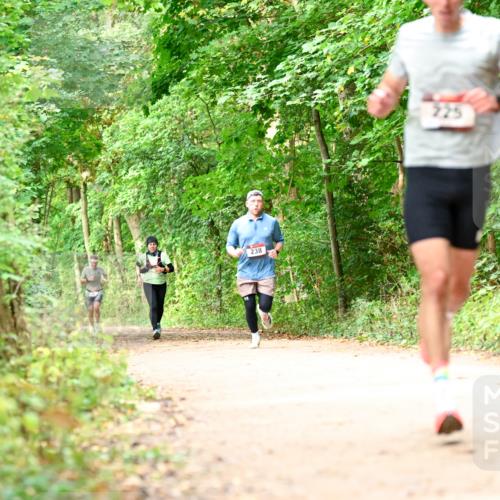 11.10.2026 - Bramfelder Halbmarathon 2026 Dr. Thomas Lammeyer http://msf.ph/oto/10830854 11.10.2026 11:14:37 Laufen 238 meine-sportfotos.de