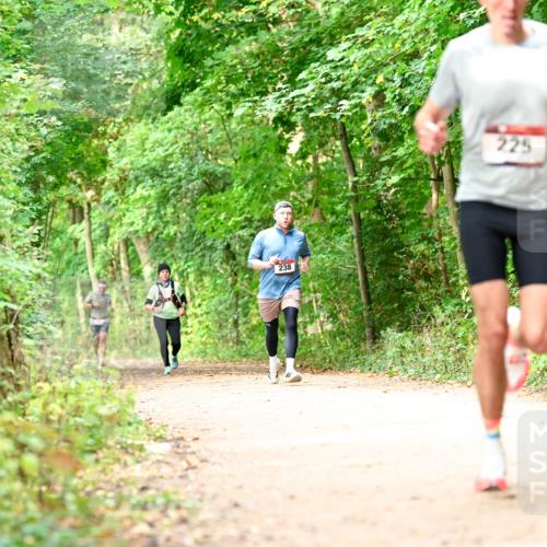 11.10.2026 - Bramfelder Halbmarathon 2026 Dr. Thomas Lammeyer http://msf.ph/oto/10830858 11.10.2026 11:14:37 Laufen 238, 225 meine-sportfotos.de