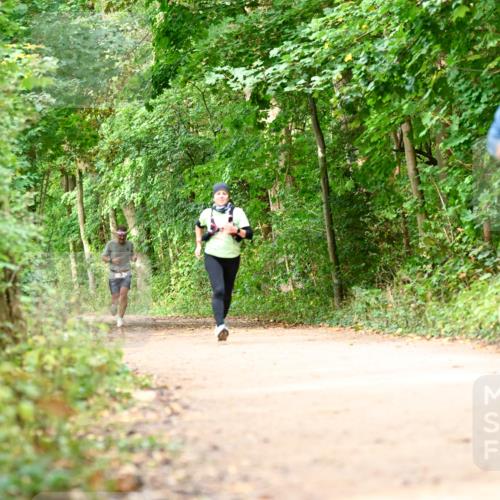 11.10.2026 - Bramfelder Halbmarathon 2026 Dr. Thomas Lammeyer http://msf.ph/oto/10830904 11.10.2026 11:14:41 Laufen 231 meine-sportfotos.de