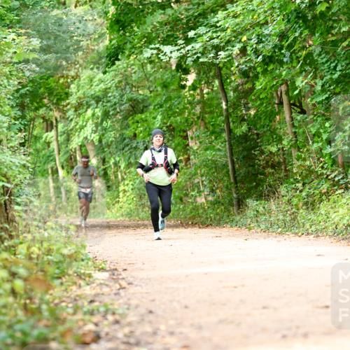 11.10.2026 - Bramfelder Halbmarathon 2026 Dr. Thomas Lammeyer http://msf.ph/oto/10830906 11.10.2026 11:14:41 Laufen 238 meine-sportfotos.de