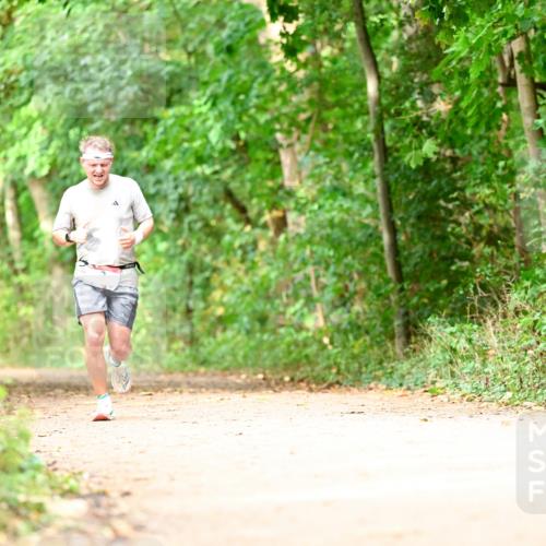 11.10.2026 - Bramfelder Halbmarathon 2026 Dr. Thomas Lammeyer http://msf.ph/oto/10830965 11.10.2026 11:14:46 Laufen  meine-sportfotos.de