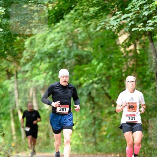 11.10.2026 - Bramfelder Halbmarathon 2026 Dr. Thomas Lammeyer http://msf.ph/oto/10831020 11.10.2026 11:15:10 Laufen 381, 10, 731 meine-sportfotos.de