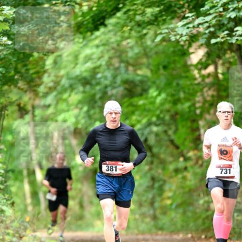 11.10.2026 - Bramfelder Halbmarathon 2026 Dr. Thomas Lammeyer http://msf.ph/oto/10831025 11.10.2026 11:15:11 Laufen 381, 10, 44, 731 meine-sportfotos.de