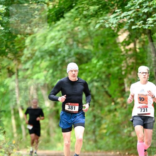 11.10.2026 - Bramfelder Halbmarathon 2026 Dr. Thomas Lammeyer http://msf.ph/oto/10831027 11.10.2026 11:15:11 Laufen 381, 10, 731 meine-sportfotos.de