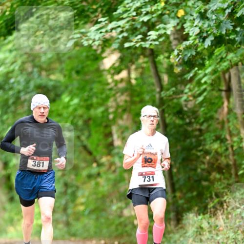 11.10.2026 - Bramfelder Halbmarathon 2026 Dr. Thomas Lammeyer http://msf.ph/oto/10831030 11.10.2026 11:15:11 Laufen 381, 10, 731 meine-sportfotos.de