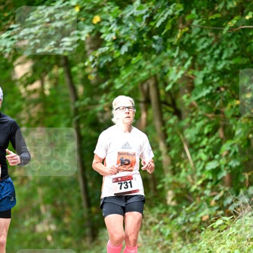 11.10.2026 - Bramfelder Halbmarathon 2026 Dr. Thomas Lammeyer http://msf.ph/oto/10831039 11.10.2026 11:15:12 Laufen 731 meine-sportfotos.de