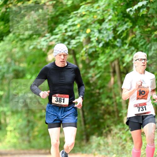 11.10.2026 - Bramfelder Halbmarathon 2026 Dr. Thomas Lammeyer http://msf.ph/oto/10831047 11.10.2026 11:15:13 Laufen 0000, 000, 381, 10, 14, 731 meine-sportfotos.de