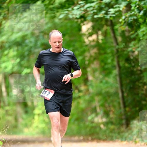 11.10.2026 - Bramfelder Halbmarathon 2026 Dr. Thomas Lammeyer http://msf.ph/oto/10831088 11.10.2026 11:15:18 Laufen 817 meine-sportfotos.de
