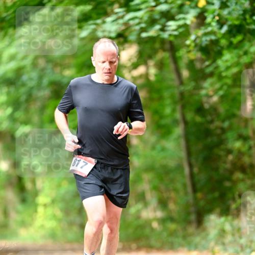 11.10.2026 - Bramfelder Halbmarathon 2026 Dr. Thomas Lammeyer http://msf.ph/oto/10831096 11.10.2026 11:15:19 Laufen 817 meine-sportfotos.de