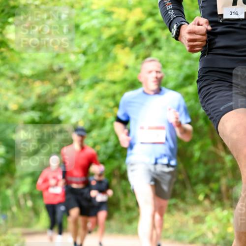 11.10.2026 - Bramfelder Halbmarathon 2026 Dr. Thomas Lammeyer http://msf.ph/oto/10831257 11.10.2026 11:15:43 Laufen 316 meine-sportfotos.de