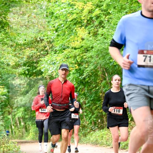 11.10.2026 - Bramfelder Halbmarathon 2026 Dr. Thomas Lammeyer http://msf.ph/oto/10831264 11.10.2026 11:15:44 Laufen 544, 121, 110, 71 meine-sportfotos.de