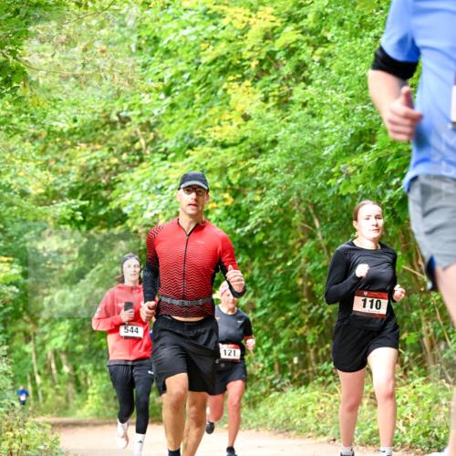 11.10.2026 - Bramfelder Halbmarathon 2026 Dr. Thomas Lammeyer http://msf.ph/oto/10831265 11.10.2026 11:15:44 Laufen 544, 121, 110 meine-sportfotos.de