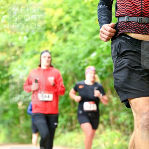 11.10.2026 - Bramfelder Halbmarathon 2026 Dr. Thomas Lammeyer http://msf.ph/oto/10831287 11.10.2026 11:15:46 Laufen  meine-sportfotos.de
