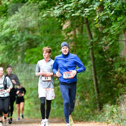 11.10.2026 - Bramfelder Halbmarathon 2026 Dr. Thomas Lammeyer http://msf.ph/oto/10831317 11.10.2026 11:16:00 Laufen 81, 319, 133 meine-sportfotos.de