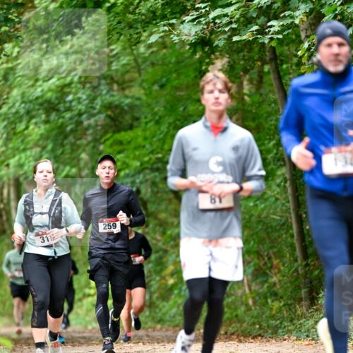 11.10.2026 - Bramfelder Halbmarathon 2026 Dr. Thomas Lammeyer http://msf.ph/oto/10831336 11.10.2026 11:16:03 Laufen 31, 259, 81 meine-sportfotos.de